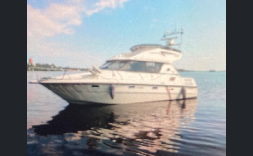 Marino Barracuda Fly-kuva-1